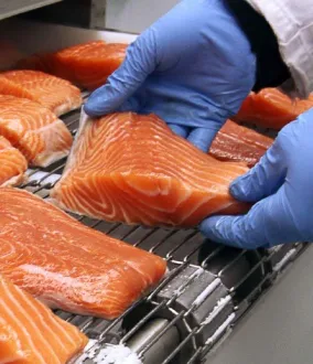 Industria alimentare