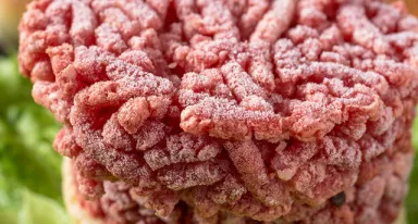 técnicas de congelación criogénica