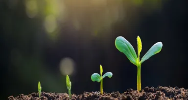 Air Liquide collabora con Rothschild e la Solar Impulse Foundation per accelerare lo sviluppo di soluzioni sostenibili