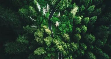 Dal biogas al biometano: a Ecomondo, il modello circolare di Air Liquide che unisce industria e agricoltura