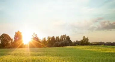 La traiettoria di riduzione della CO2 di Air Liquide entro il 2035 è convalidata dall'iniziativa Science Based Targets (SBTi) 