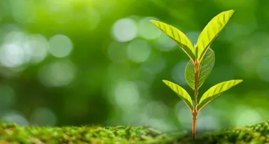 Air Liquide rafforza i suoi investimenti nelle start-up a impatto attraverso ALIAD