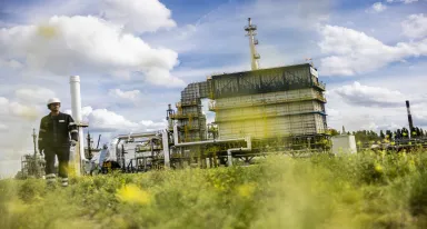 Carbon neutrality, cos'è e come si può raggiungere