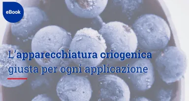 Guida pratica alla surgelazione criogenica