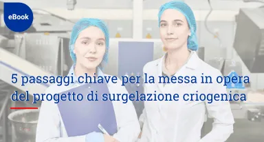 5 passaggi chiave per la messa in opera del progetto di surgelazione criogenica